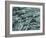 Tooth Enamel, SEM-Steve Gschmeissner-Framed Photographic Print