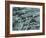 Tooth Enamel, SEM-Steve Gschmeissner-Framed Photographic Print