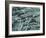 Tooth Enamel, SEM-Steve Gschmeissner-Framed Photographic Print