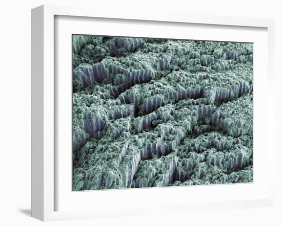 Tooth Enamel, SEM-Steve Gschmeissner-Framed Photographic Print