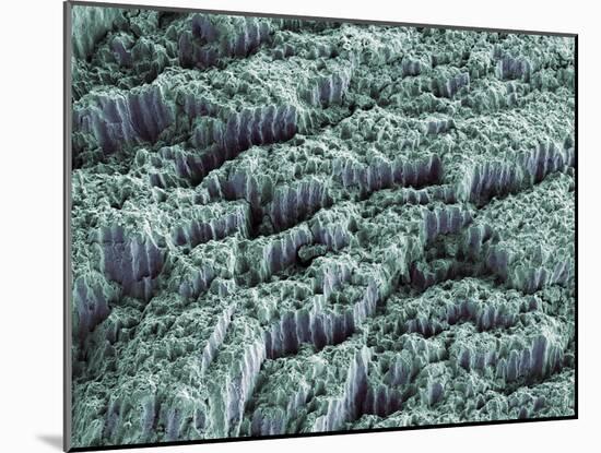Tooth Enamel, SEM-Steve Gschmeissner-Mounted Photographic Print