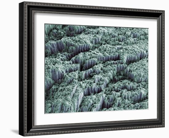 Tooth Enamel, SEM-Steve Gschmeissner-Framed Photographic Print