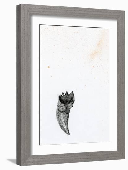 Tooth {Fay-Erie Dust}, 2014-Bella Larsson-Framed Giclee Print