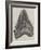 Tooth of a Gigantic Fossil Shark Found on the Coast of Malta-null-Framed Giclee Print