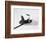 Top Hat, Cane and Gloves-null-Framed Photographic Print