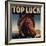 Top Luck Brand - San Fernando, California - Citrus Crate Label-Lantern Press-Framed Art Print