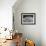 Top of a Dandelion Seed Head is Seen in the Morning Light in Marysville, Pennsylvania-null-Framed Photographic Print displayed on a wall