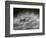 Top of a Dandelion Seed Head is Seen in the Morning Light in Marysville, Pennsylvania-null-Framed Photographic Print