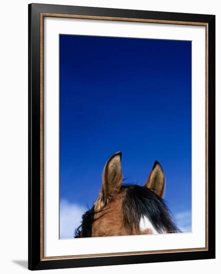 Top of a Horse's Head-Mitch Diamond-Framed Photographic Print