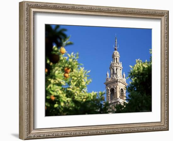 Top of the Giralda Framed by Orange Trees, Seville, Andalucia (Andalusia), Spain, Europe-Ruth Tomlinson-Framed Photographic Print