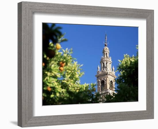 Top of the Giralda Framed by Orange Trees, Seville, Andalucia (Andalusia), Spain, Europe-Ruth Tomlinson-Framed Photographic Print