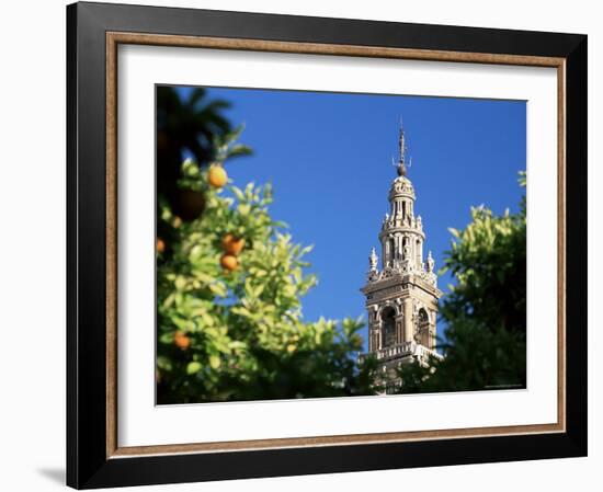 Top of the Giralda Framed by Orange Trees, Seville, Andalucia (Andalusia), Spain, Europe-Ruth Tomlinson-Framed Photographic Print