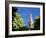 Top of the Giralda Framed by Orange Trees, Seville, Andalucia (Andalusia), Spain, Europe-Ruth Tomlinson-Framed Photographic Print