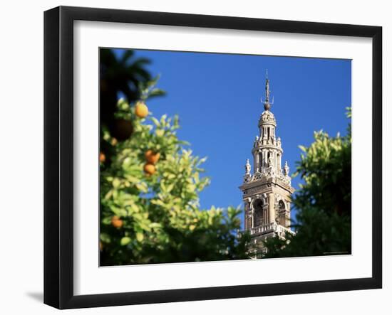 Top of the Giralda Framed by Orange Trees, Seville, Andalucia (Andalusia), Spain, Europe-Ruth Tomlinson-Framed Photographic Print