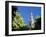 Top of the Giralda Framed by Orange Trees, Seville, Andalucia (Andalusia), Spain, Europe-Ruth Tomlinson-Framed Photographic Print