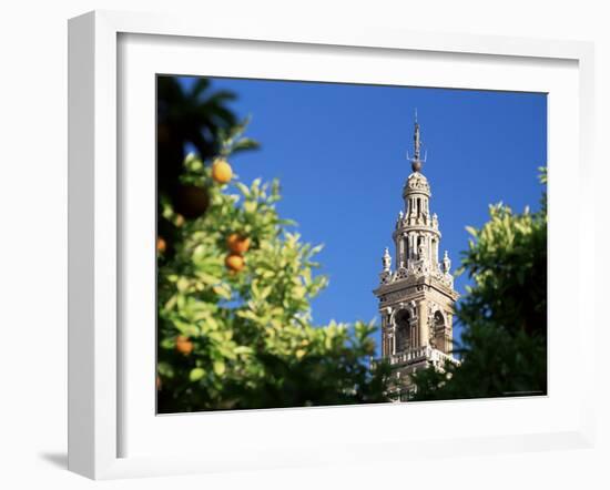 Top of the Giralda Framed by Orange Trees, Seville, Andalucia (Andalusia), Spain, Europe-Ruth Tomlinson-Framed Photographic Print