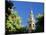 Top of the Giralda Framed by Orange Trees, Seville, Andalucia (Andalusia), Spain, Europe-Ruth Tomlinson-Mounted Photographic Print