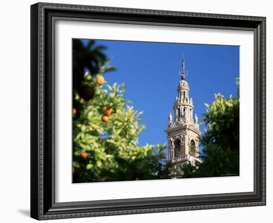 Top of the Giralda Framed by Orange Trees, Seville, Andalucia (Andalusia), Spain, Europe-Ruth Tomlinson-Framed Photographic Print