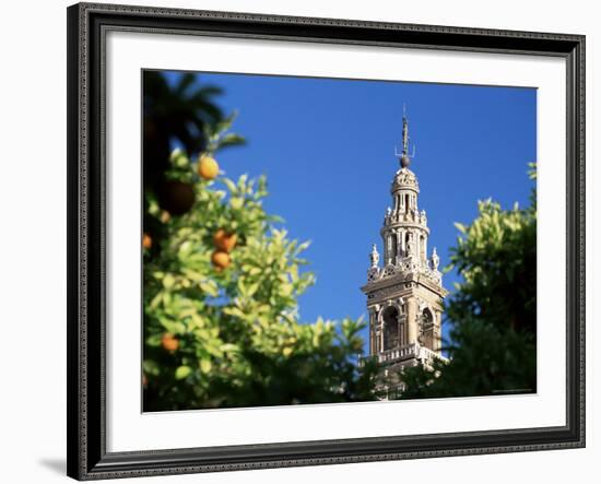 Top of the Giralda Framed by Orange Trees, Seville, Andalucia (Andalusia), Spain, Europe-Ruth Tomlinson-Framed Photographic Print