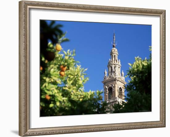 Top of the Giralda Framed by Orange Trees, Seville, Andalucia (Andalusia), Spain, Europe-Ruth Tomlinson-Framed Photographic Print