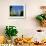 Top of the Giralda Framed by Orange Trees, Seville, Andalucia (Andalusia), Spain, Europe-Ruth Tomlinson-Framed Photographic Print displayed on a wall