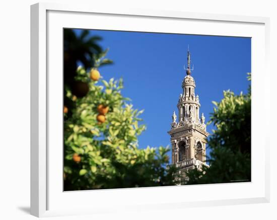 Top of the Giralda Framed by Orange Trees, Seville, Andalucia (Andalusia), Spain, Europe-Ruth Tomlinson-Framed Photographic Print