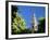 Top of the Giralda Framed by Orange Trees, Seville, Andalucia (Andalusia), Spain, Europe-Ruth Tomlinson-Framed Photographic Print