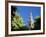 Top of the Giralda Framed by Orange Trees, Seville, Andalucia (Andalusia), Spain, Europe-Ruth Tomlinson-Framed Photographic Print