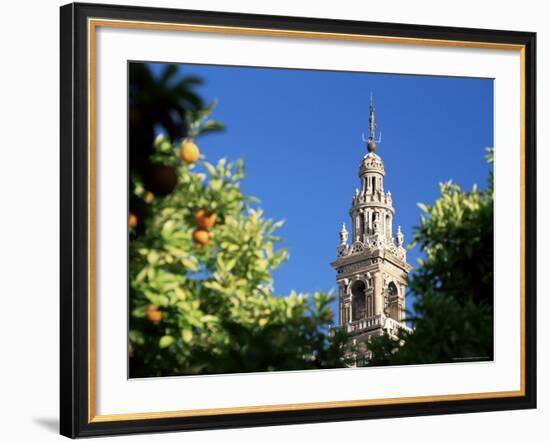 Top of the Giralda Framed by Orange Trees, Seville, Andalucia (Andalusia), Spain, Europe-Ruth Tomlinson-Framed Photographic Print