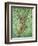 Top of the Tree-Pat Scott-Framed Giclee Print