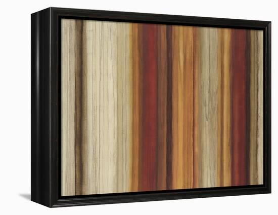 Top Shelf-Randy Hibberd-Framed Stretched Canvas