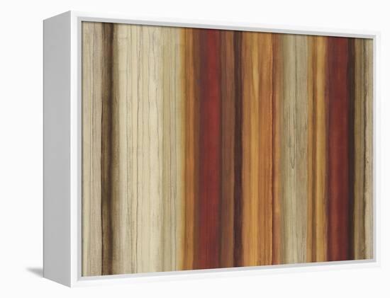 Top Shelf-Randy Hibberd-Framed Stretched Canvas