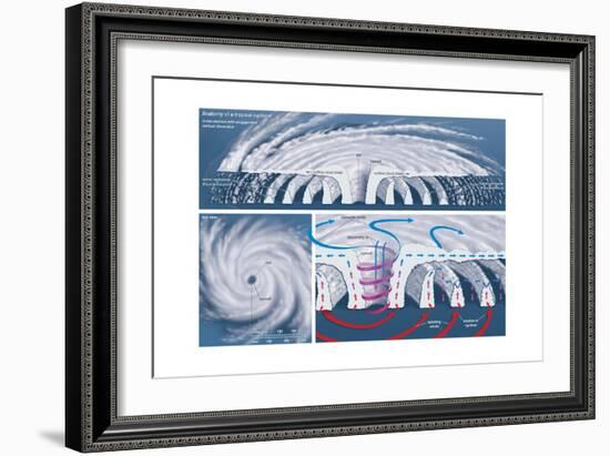 Top View and Vertical Cross Section of a Tropical Cyclone. Atmosphere, Climate, Earth Sciences-Encyclopaedia Britannica-Framed Art Print