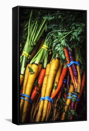 Top View Close Up Of A Bundle Of Fresh Carrots At A Farmers Market In Sonoma County-Ron Koeberer-Framed Stretched Canvas
