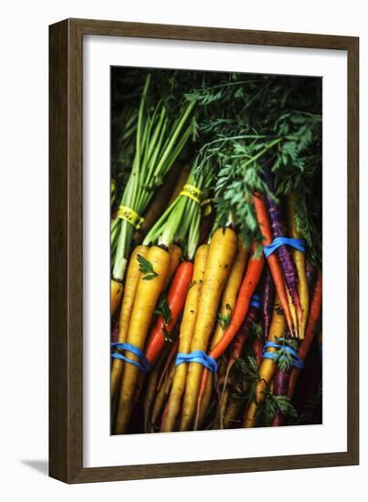 Top View Close Up Of A Bundle Of Fresh Carrots At A Farmers Market In Sonoma County-Ron Koeberer-Framed Photographic Print