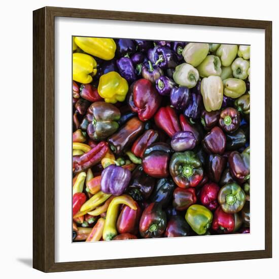 Top View Close Up Of A Colorful Selection Of Bell Peppers At A Farmers Market In Sonoma County-Ron Koeberer-Framed Photographic Print