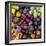 Top View Close Up Of A Colorful Selection Of Bell Peppers At A Farmers Market In Sonoma County-Ron Koeberer-Framed Photographic Print