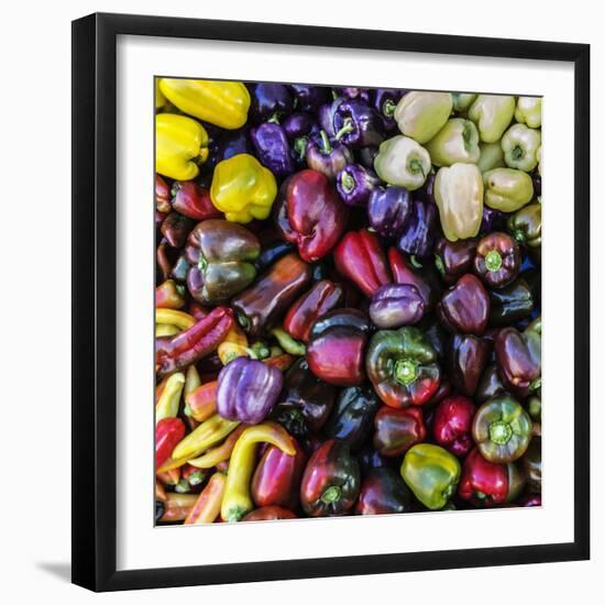 Top View Close Up Of A Colorful Selection Of Bell Peppers At A Farmers Market In Sonoma County-Ron Koeberer-Framed Photographic Print