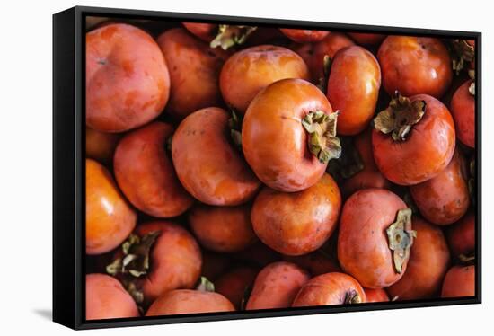 Top View Close Up Of Freshly Picked Persimmons In Sonoma County-Ron Koeberer-Framed Stretched Canvas