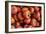 Top View Close Up Of Freshly Picked Persimmons In Sonoma County-Ron Koeberer-Framed Photographic Print