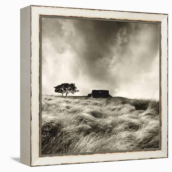 Top Withens Near Haworth, Yorkshire 1977-Fay Godwin-Framed Premier Image Canvas