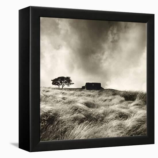 Top Withens Near Haworth, Yorkshire 1977-Fay Godwin-Framed Premier Image Canvas