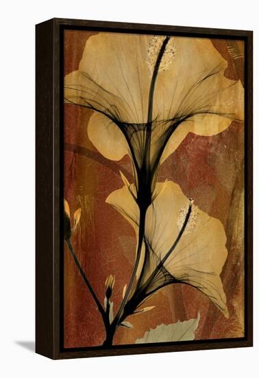 Topaze Opus Hibiscus-Albert Koetsier-Framed Stretched Canvas