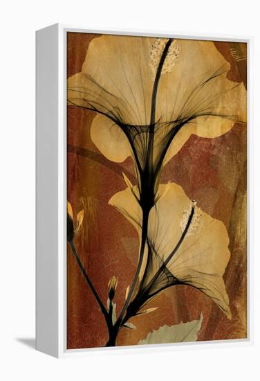 Topaze Opus Hibiscus-Albert Koetsier-Framed Stretched Canvas