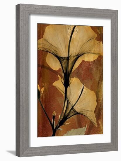 Topaze Opus Hibiscus-Albert Koetsier-Framed Art Print