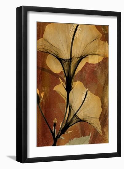 Topaze Opus Hibiscus-Albert Koetsier-Framed Art Print