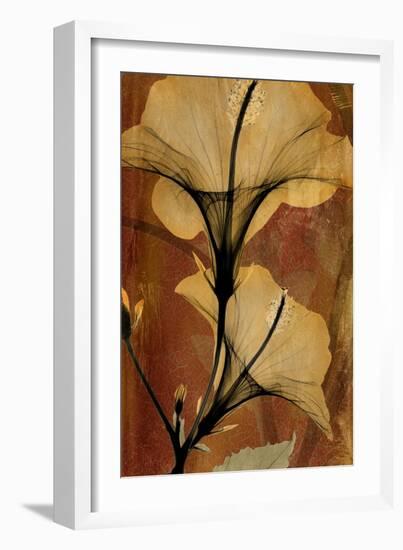 Topaze Opus Hibiscus-Albert Koetsier-Framed Art Print