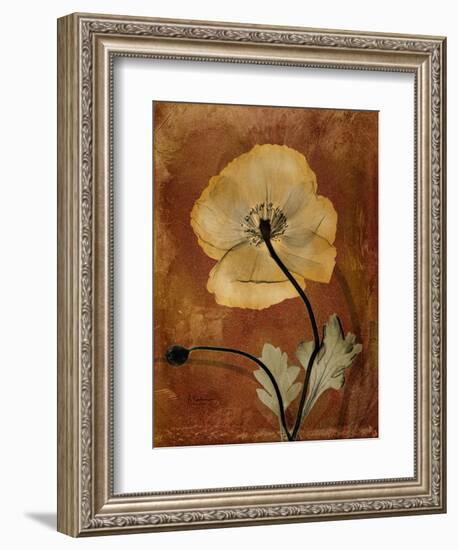 Topaze Opus Iceland Poppy-Albert Koetsier-Framed Art Print