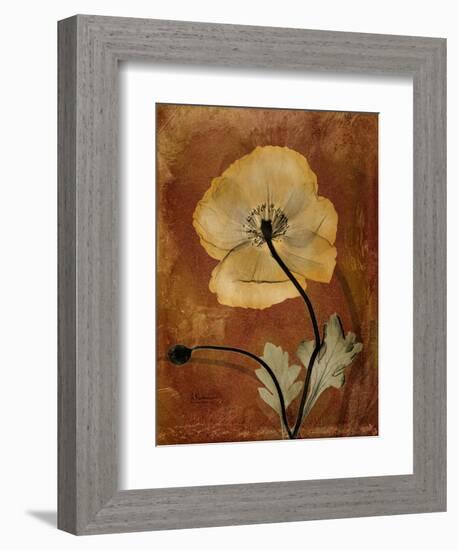 Topaze Opus Iceland Poppy-Albert Koetsier-Framed Art Print