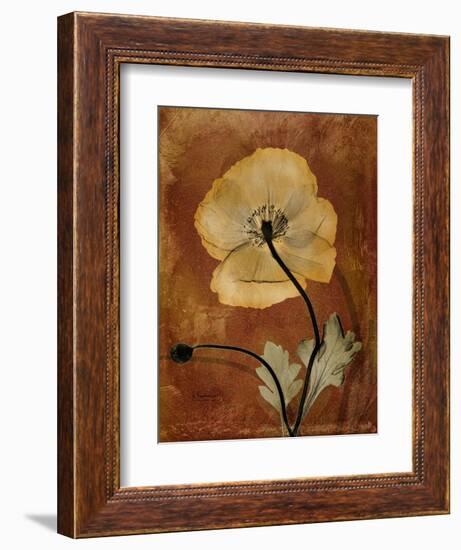 Topaze Opus Iceland Poppy-Albert Koetsier-Framed Art Print